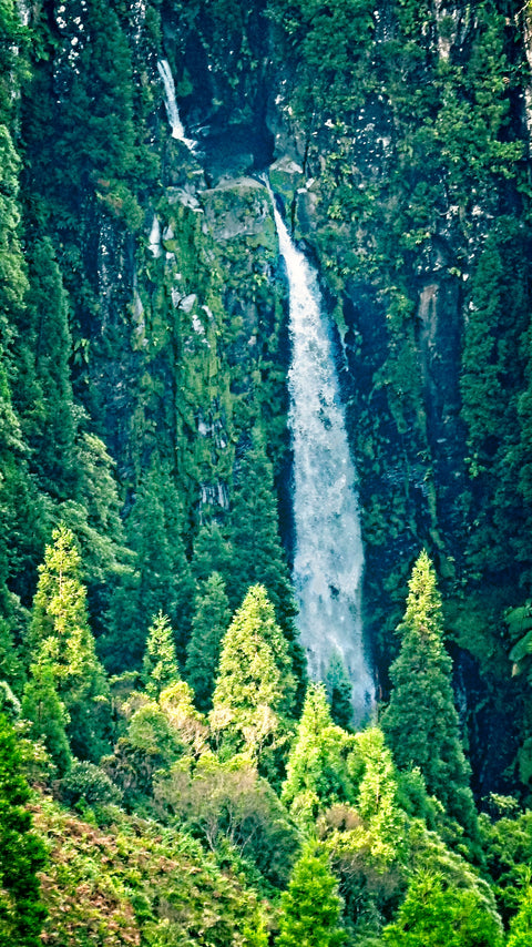 Azores - Watterfall