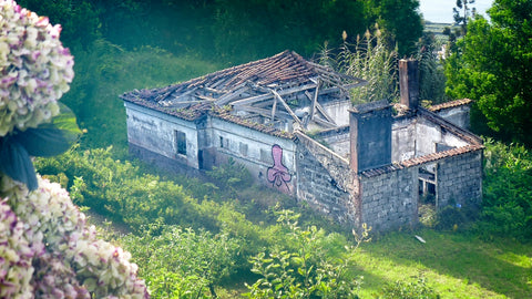 Azores - Wind Damaged House