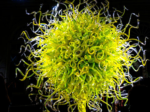 Chihuly - Brooklyn Botanical Gardens  7