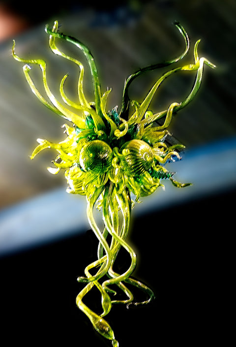 Chihuly - Brooklyn Botanical Gardens 2