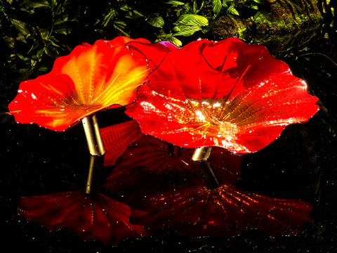 Chihuly - Brooklyn Botanical Gardens 8