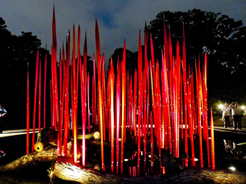 Chihuly - Brooklyn Botanical Gardens 3